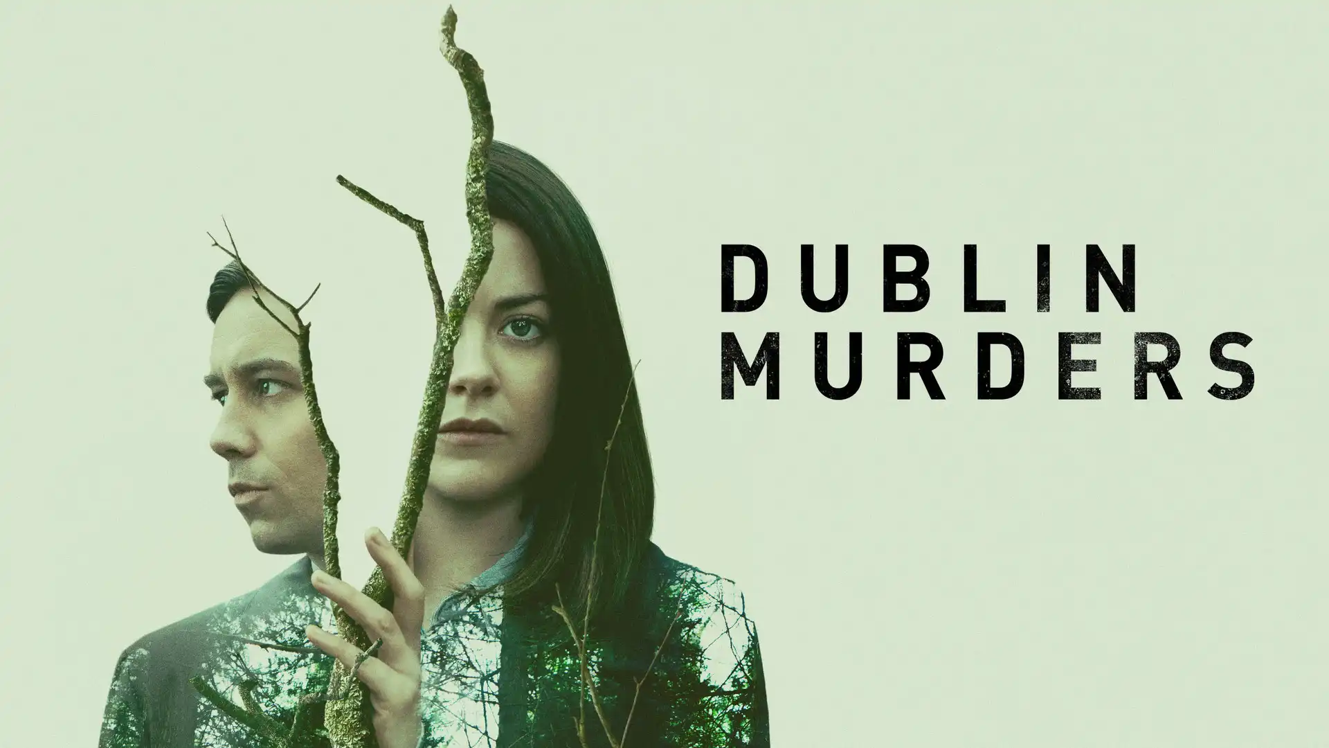 Дублинские убийства постер