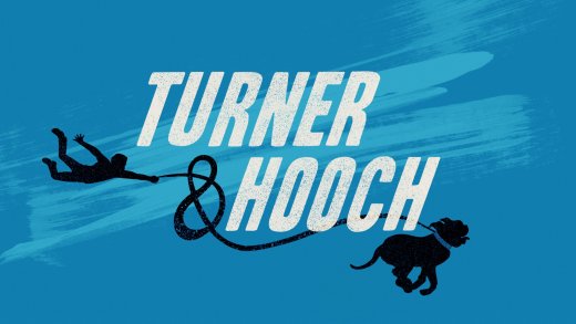 Тёрнер и Хуч постер
